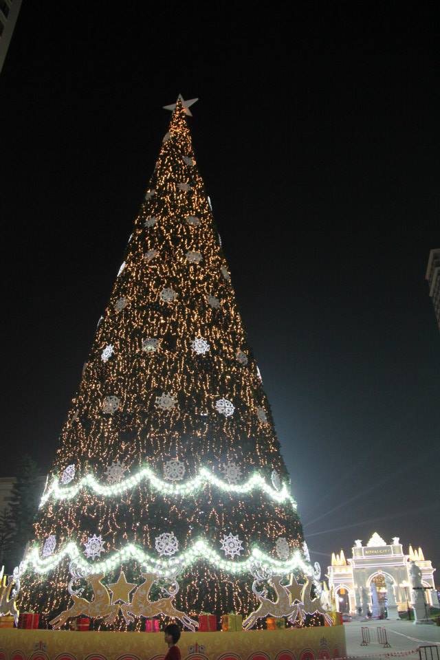 Cây thông Noel lớn nhất Việt Nam